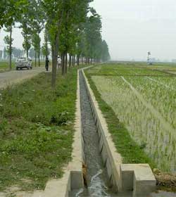 臥龍鎮(zhèn)祖師殿中低產(chǎn)田改造項目