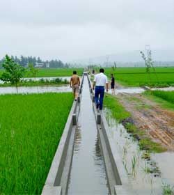 農(nóng)業(yè)綜合開發(fā)渭水中低產(chǎn)田改造項目